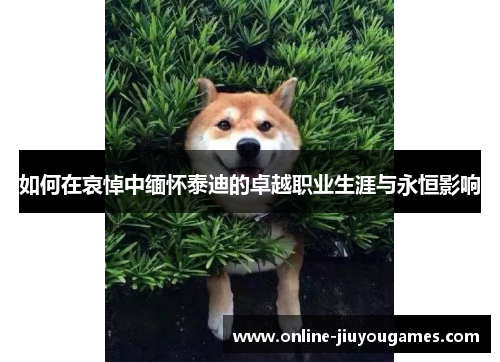 如何在哀悼中缅怀泰迪的卓越职业生涯与永恒影响