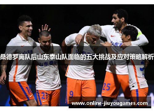 桑德罗离队后山东泰山队面临的五大挑战及应对策略解析