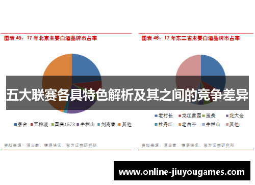 五大联赛各具特色解析及其之间的竞争差异